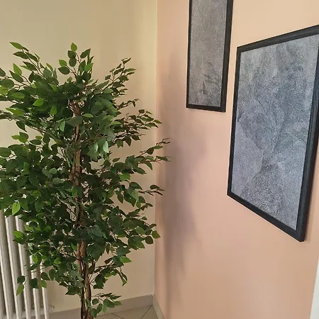 Apartament Dalla Patagonia *